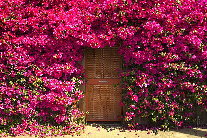 amazing-old-vintage-doors-photography-25